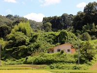 大東　丘に建つ家